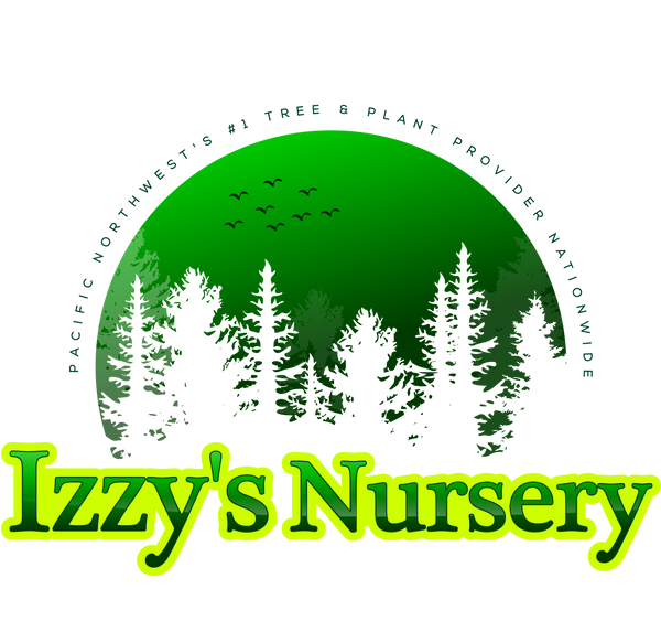 Izzy's Nursery Tx